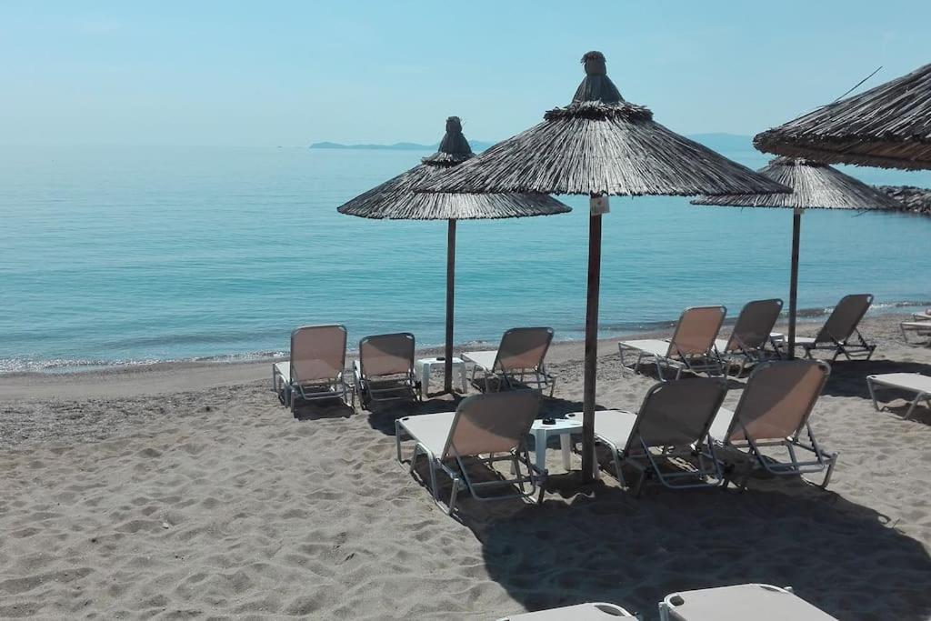 Cosy House Stratoni Chalkidiki 300M From Beach Buitenkant foto